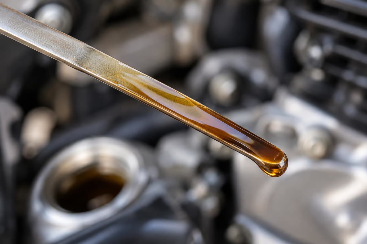 Tongkat ukur oli motor menunjukkan level oli